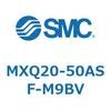 55520342