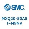 55520376