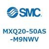 55520491