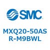 55520561