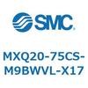 55524007