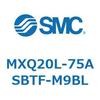 55540064
