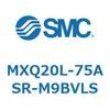 55540371