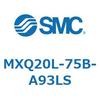 55540484