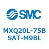 55540676