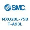 55540886