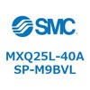 55570234