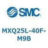 55571223