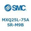 55573646