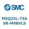 55573682