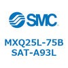 55573874