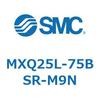 55574005