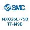 55574032