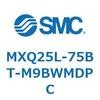 55574066