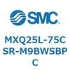 55574513