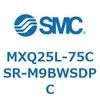 55574522
