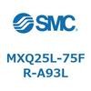 55574662