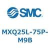 55574766