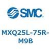 55574802