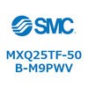 55575021