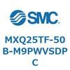 55575037