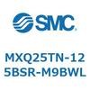 55575204