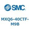 55581032