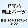 55585662