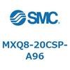 55594034