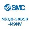 55601384