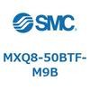 55601402