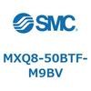 55601411