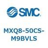 55602041