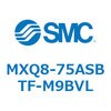 55603064