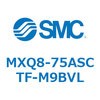 55603161