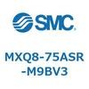 55603502