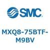 55604026