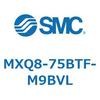 55604035