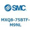 55604044