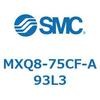 55604087