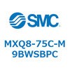 55604202