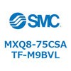 55604281