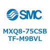 55604351