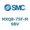 55604884