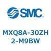 55606293