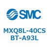 55616041