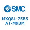55619645