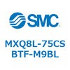 55620293