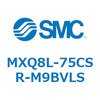 55620521