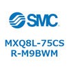 55620537